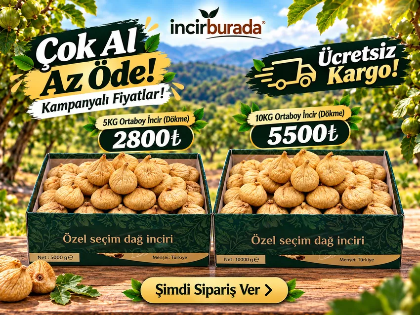 ÇOK AL AZ ÖDE