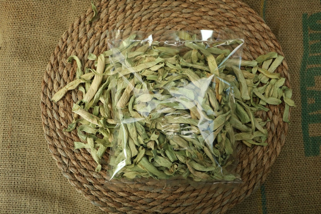 Taze Fasülye Kurusu