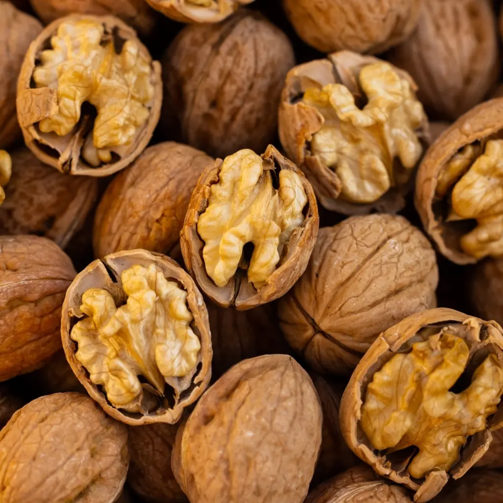 cevizici (7).webp