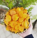 Sarı Kayısı (1kg)