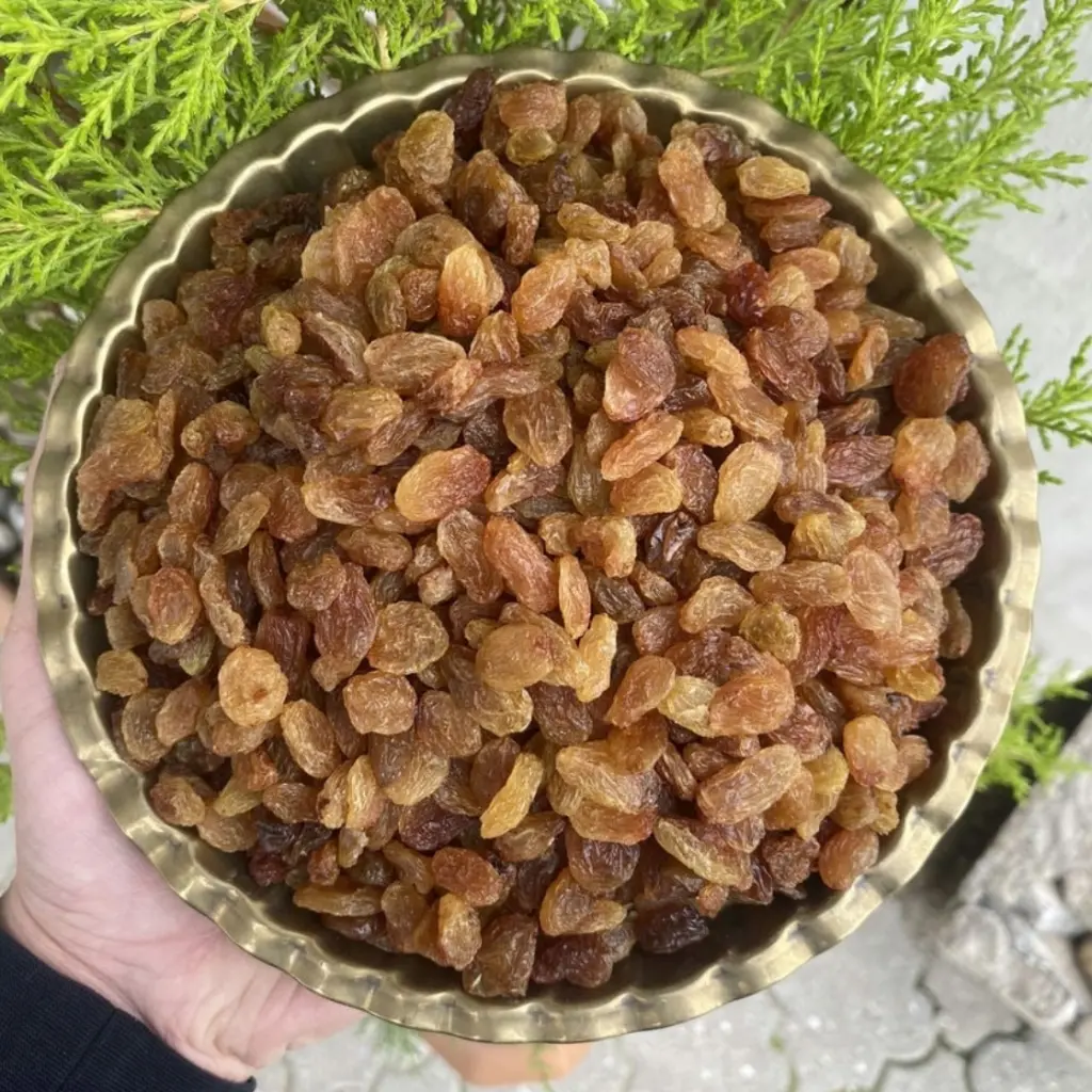 acı dolmalık biber (98).webp