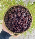 Turna Yemişi ( Cranberry) 100gr