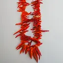 Yakan Acı Biber (Bağ)
