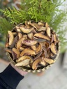 Şeftali Kurusu (100gr)