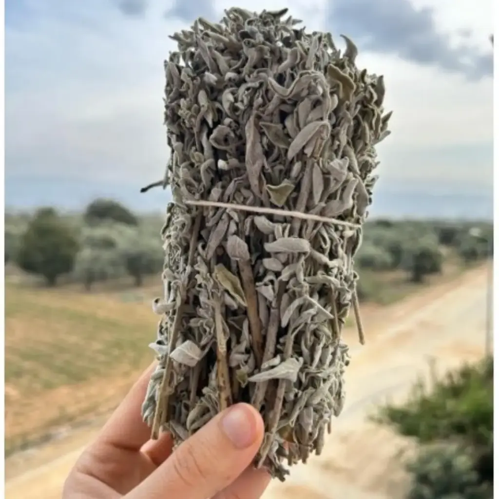 Ada Çayı Dal (1Bağ)