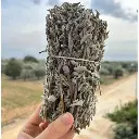 Ada Çayı Dal (1Bağ)