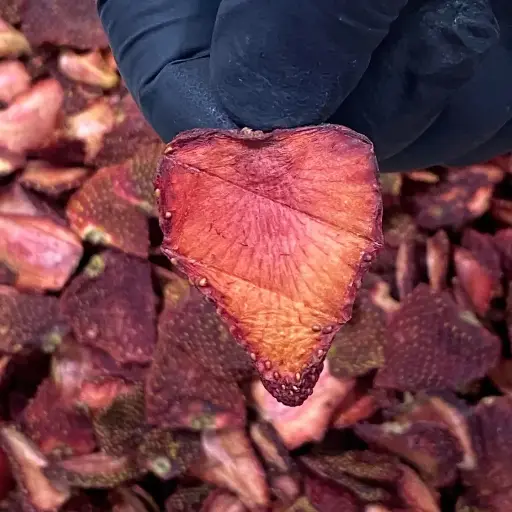 Çilek Kurusu (250gr)
