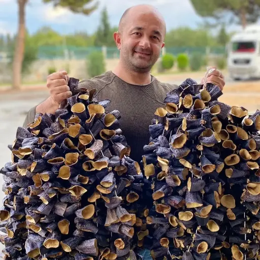 Dolmalık Uç Patlıcan (45-50adet)