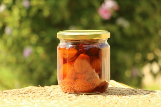 Kayısı Reçeli (450gr)